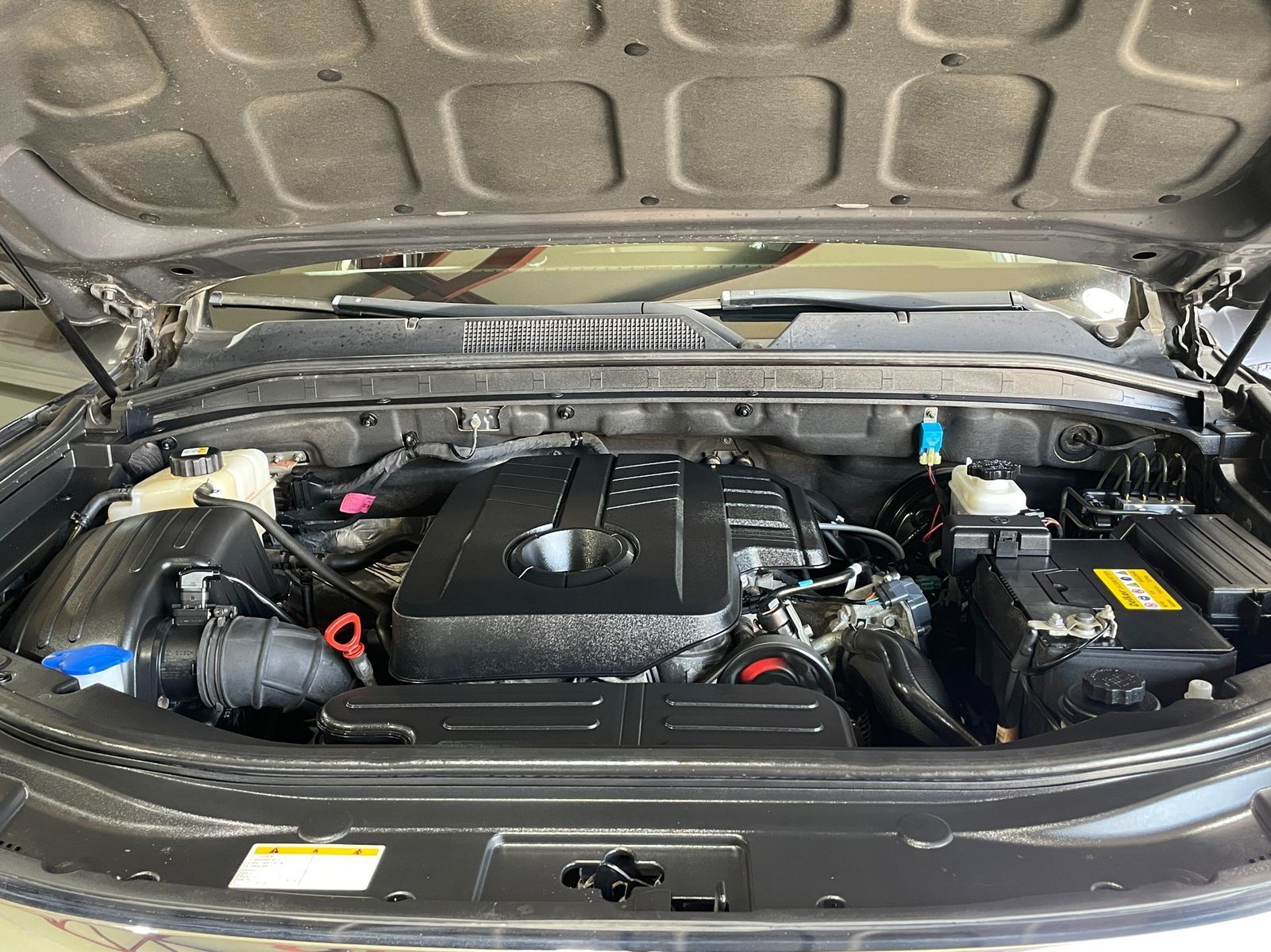 Image 19