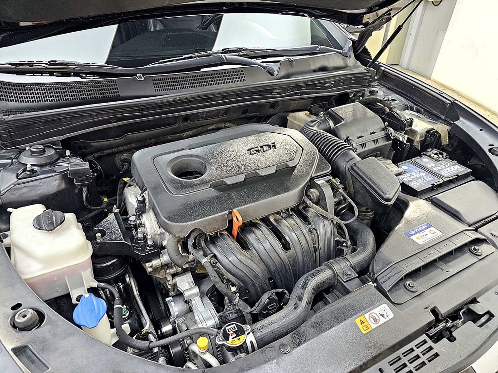 Image 5