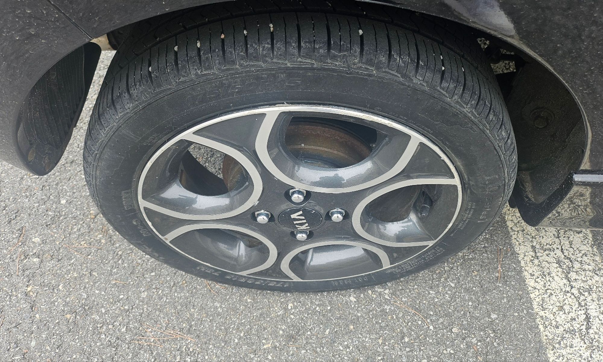 Image 6