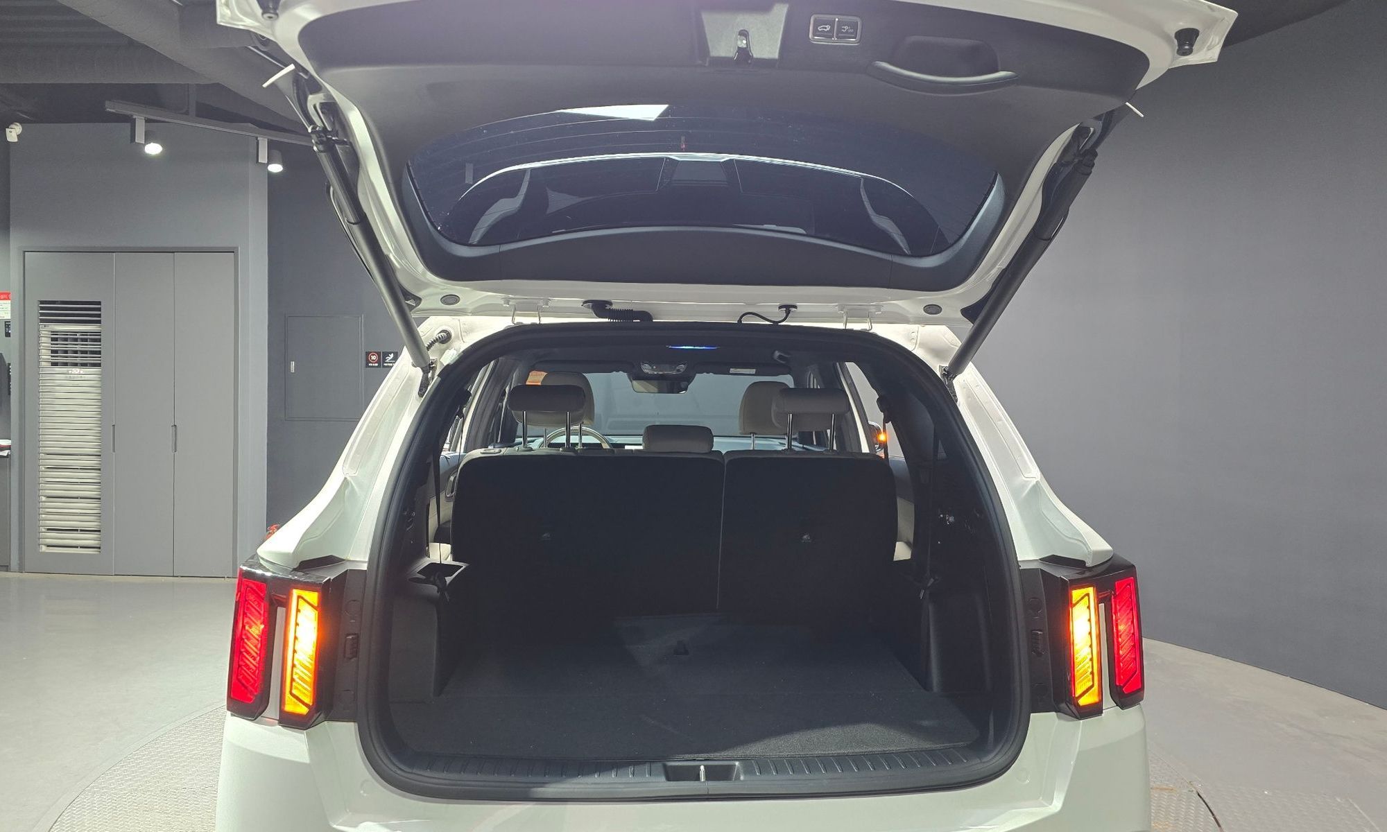Image 19