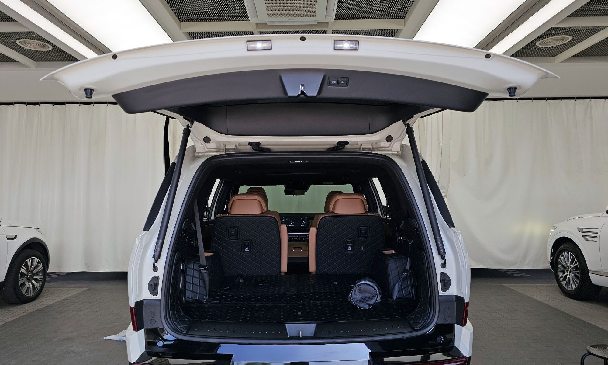 Image 19