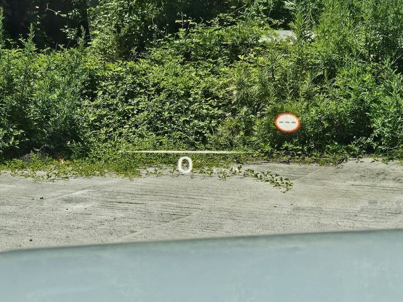Image 13