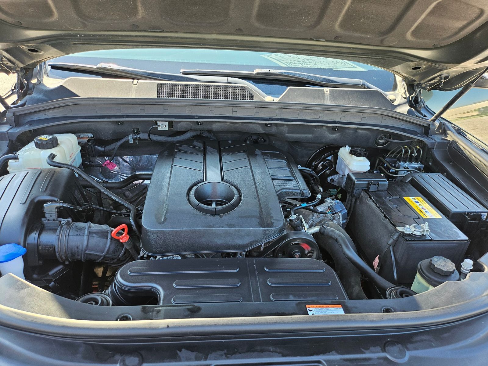 Image 19