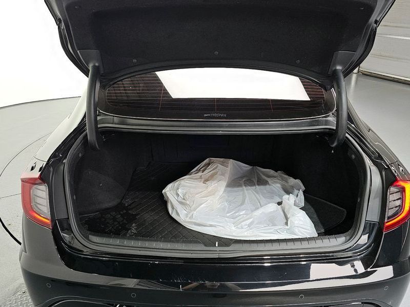 Image 19