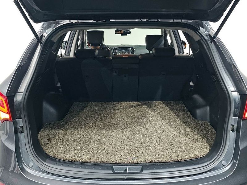 Image 19