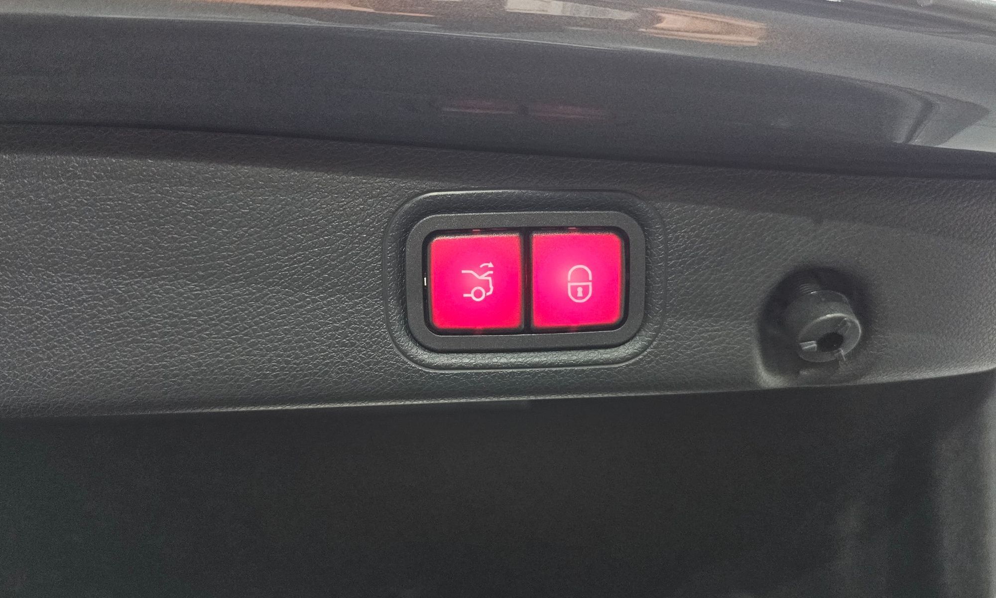 Image 19