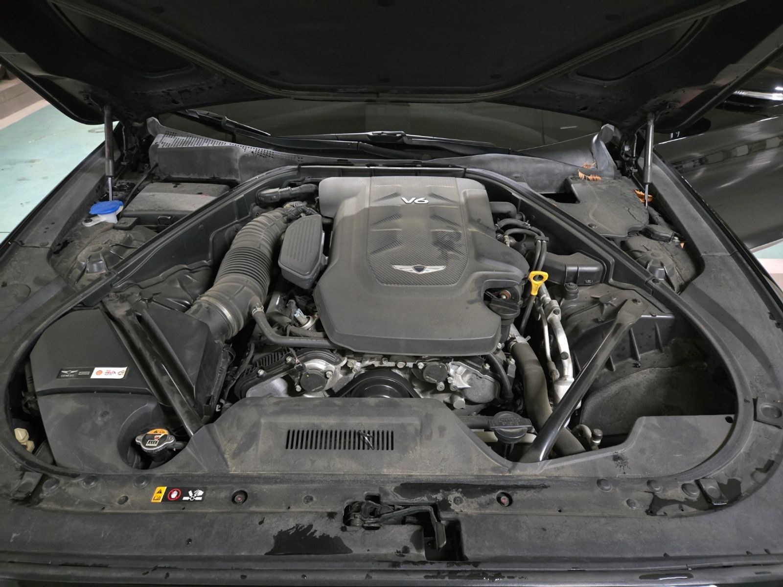 Image 5