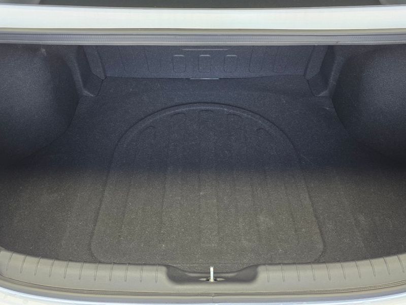 Image 19
