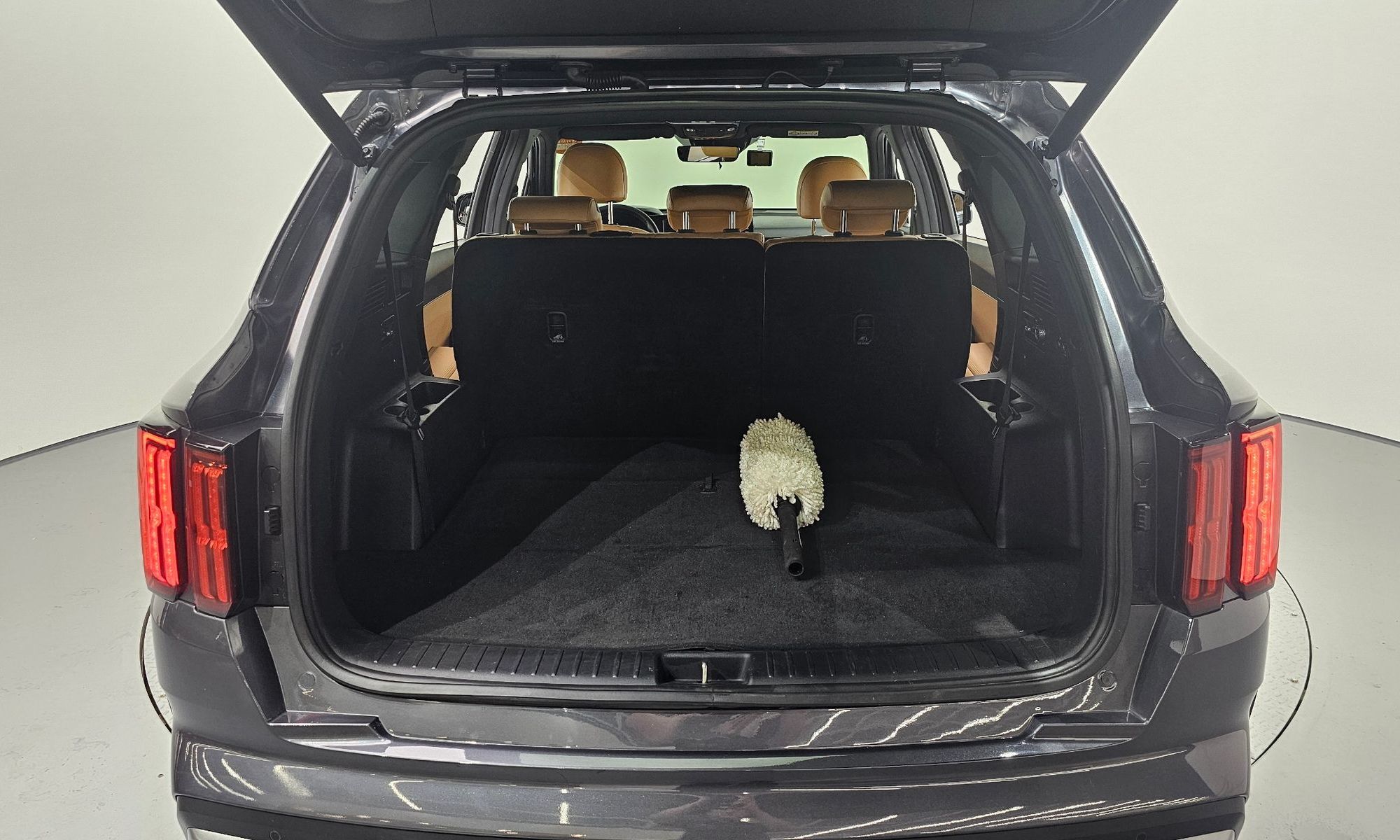 Image 19
