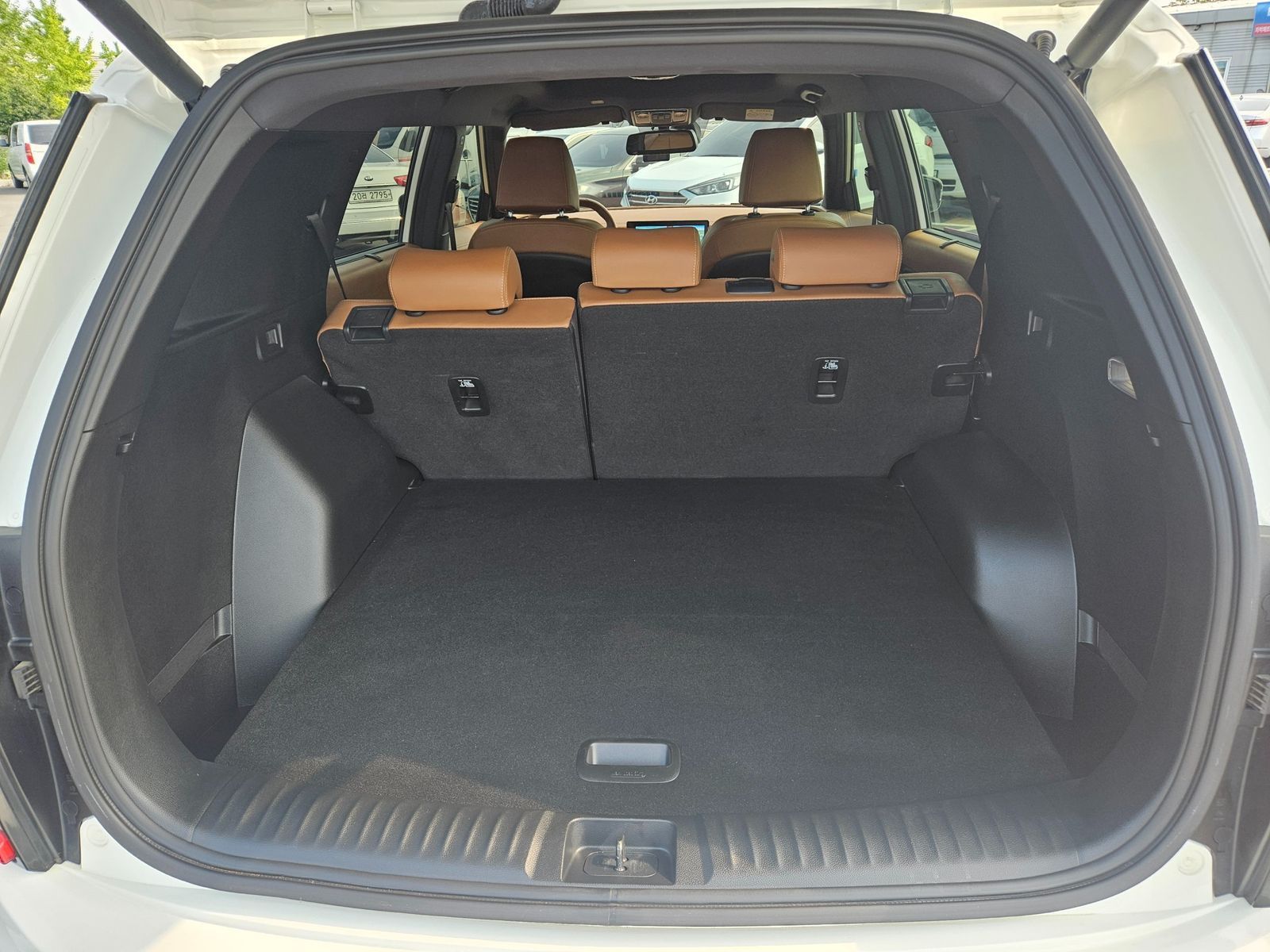 Image 19