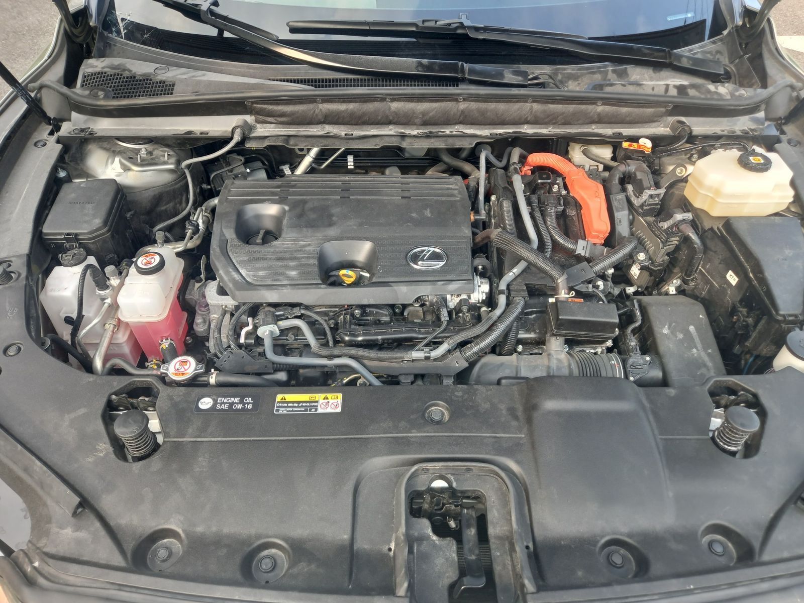 Image 5