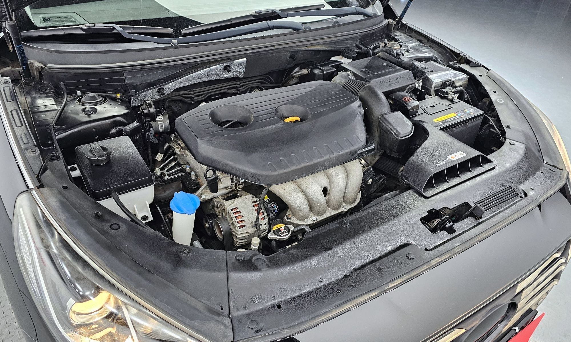 Image 5