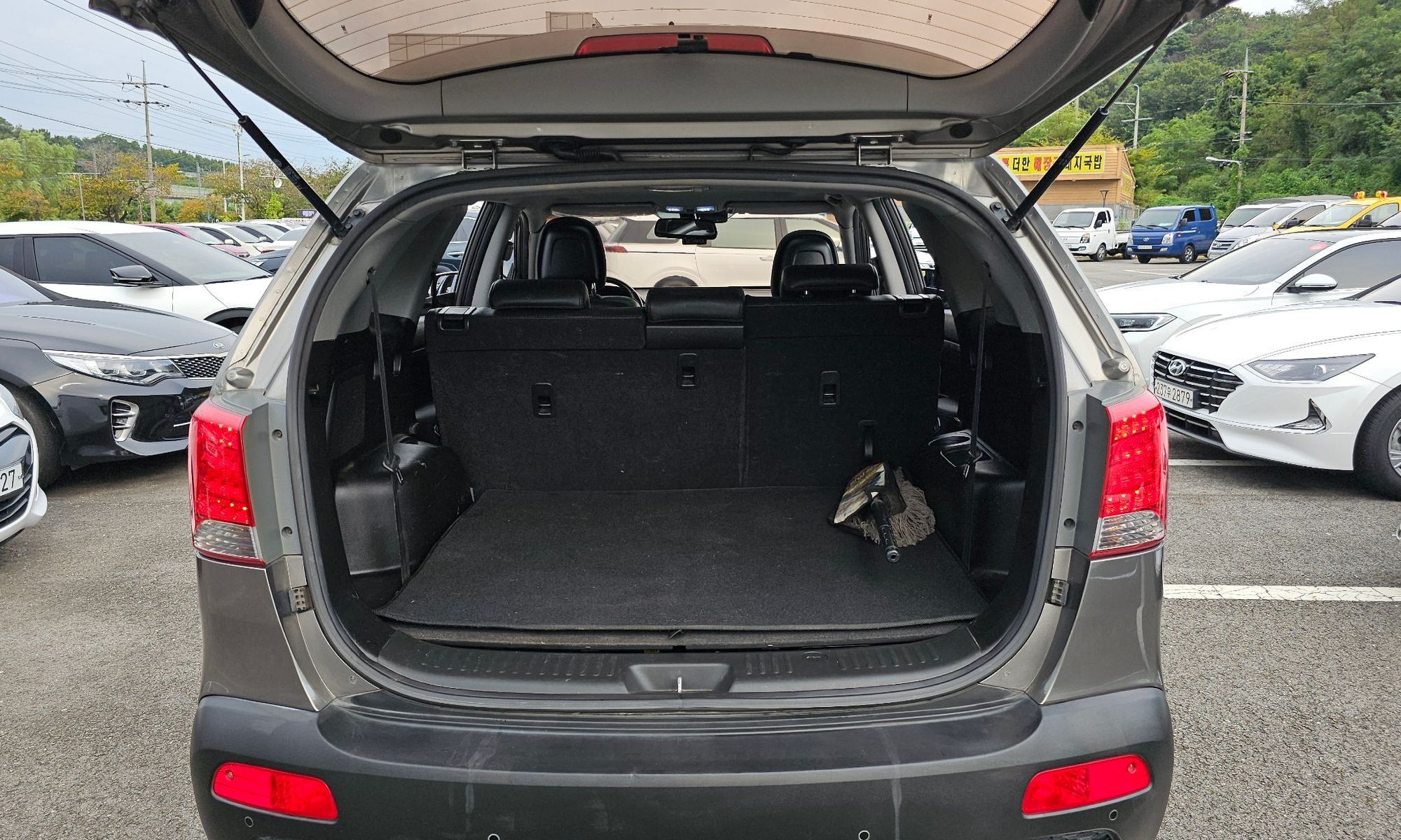 Image 19