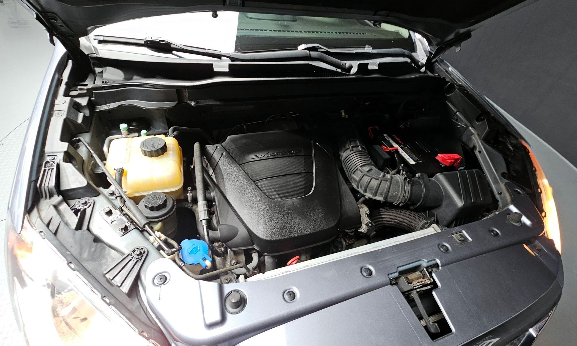 Image 5