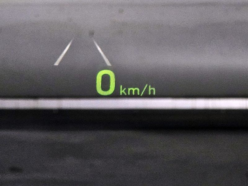 Image 19