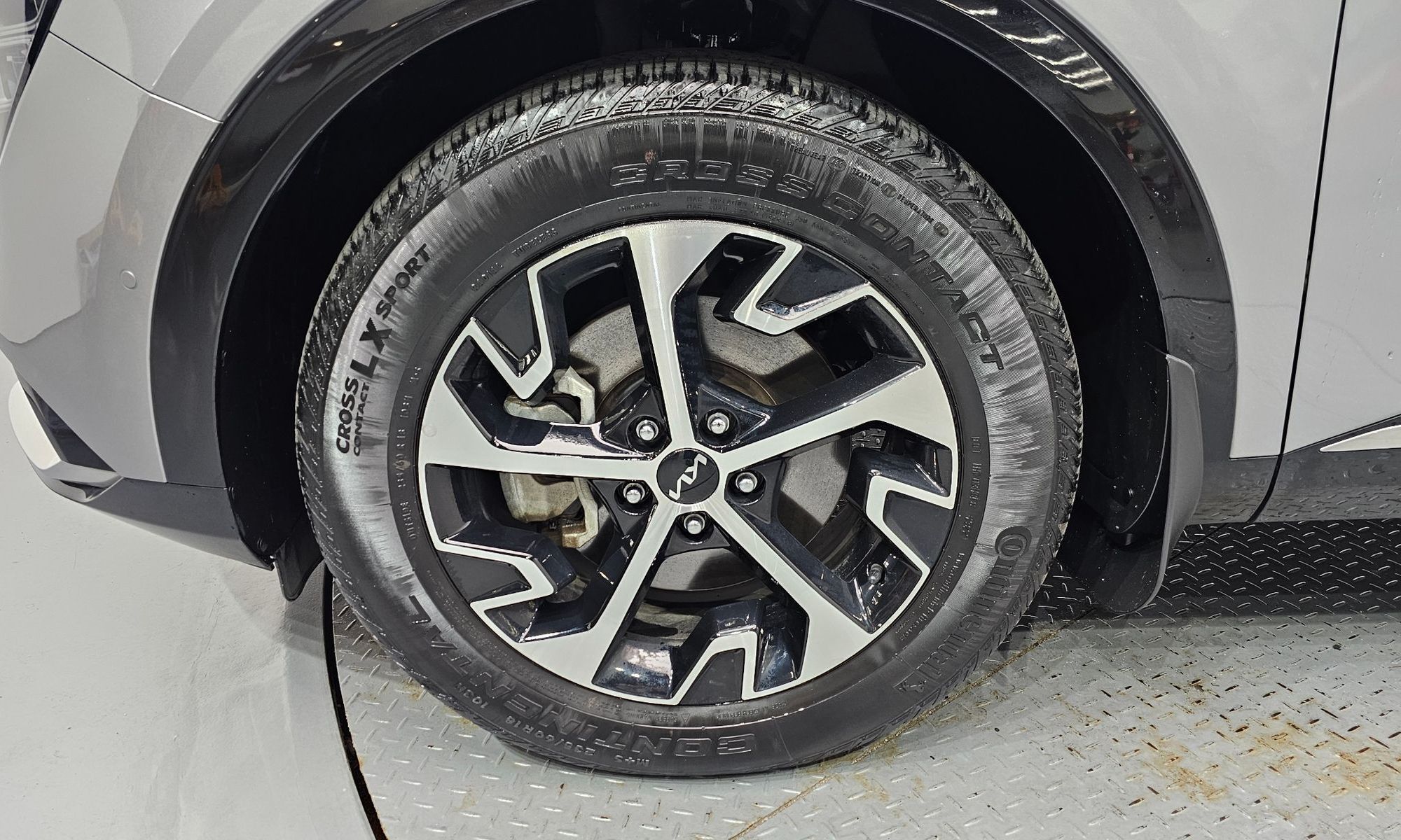 Image 4