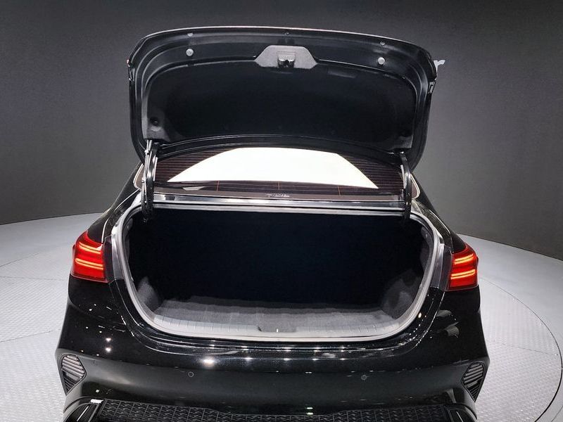 Image 19