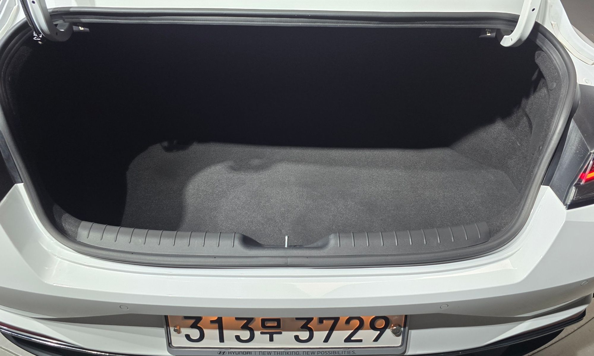 Image 19