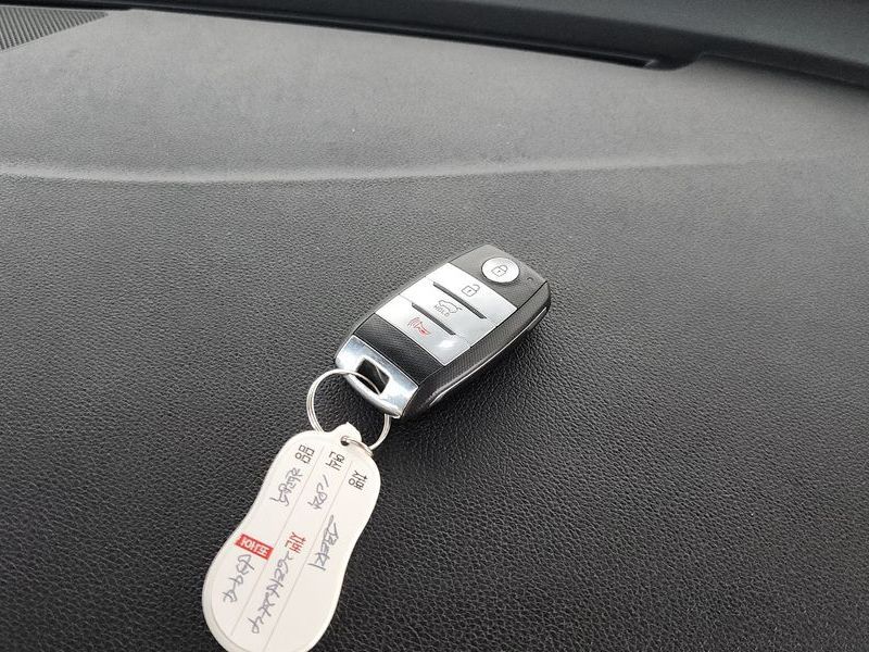 Image 14