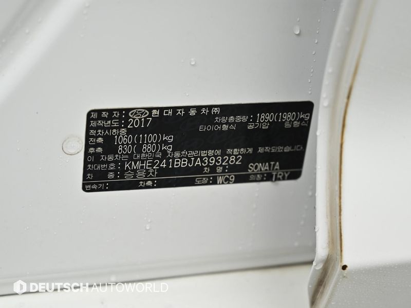 Image 19