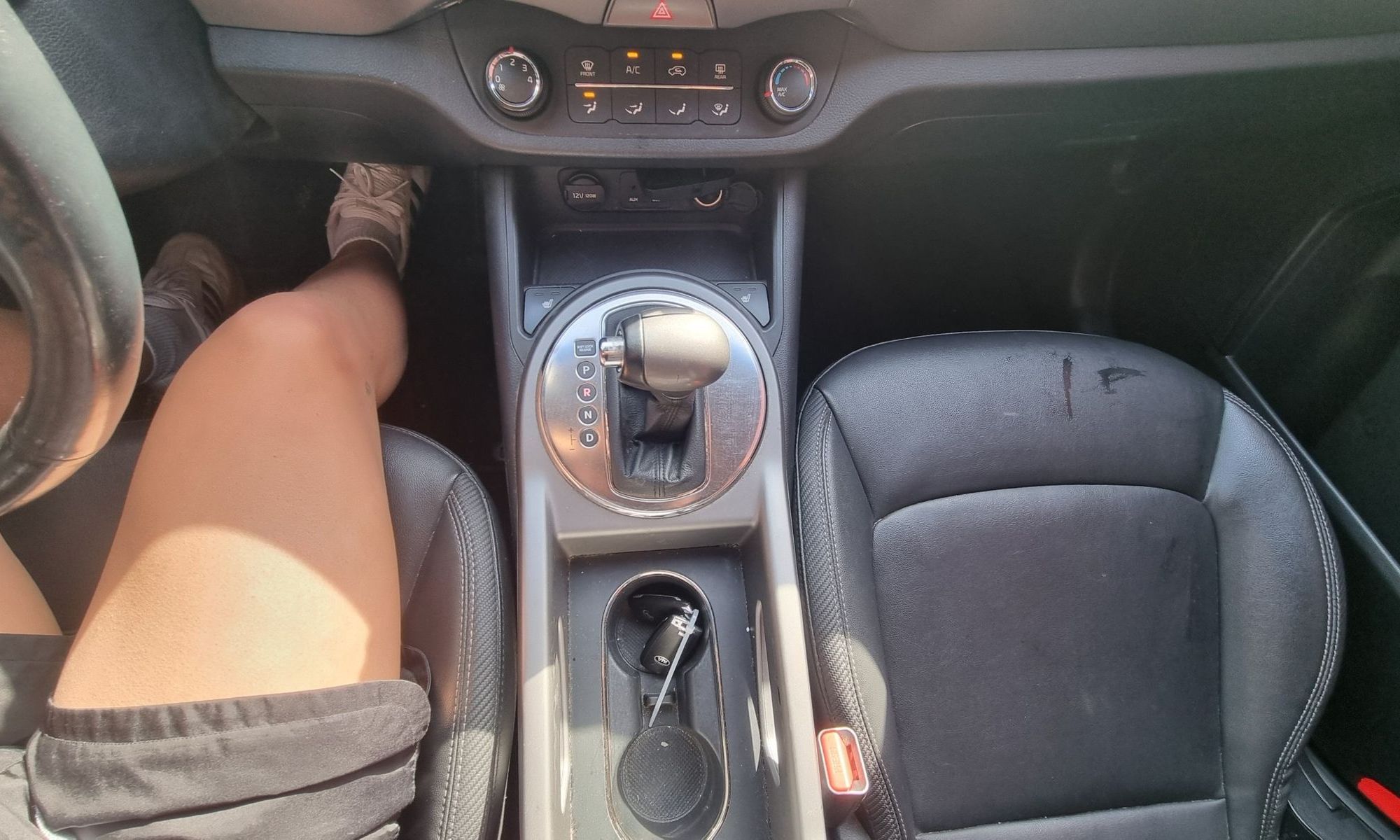 Image 12