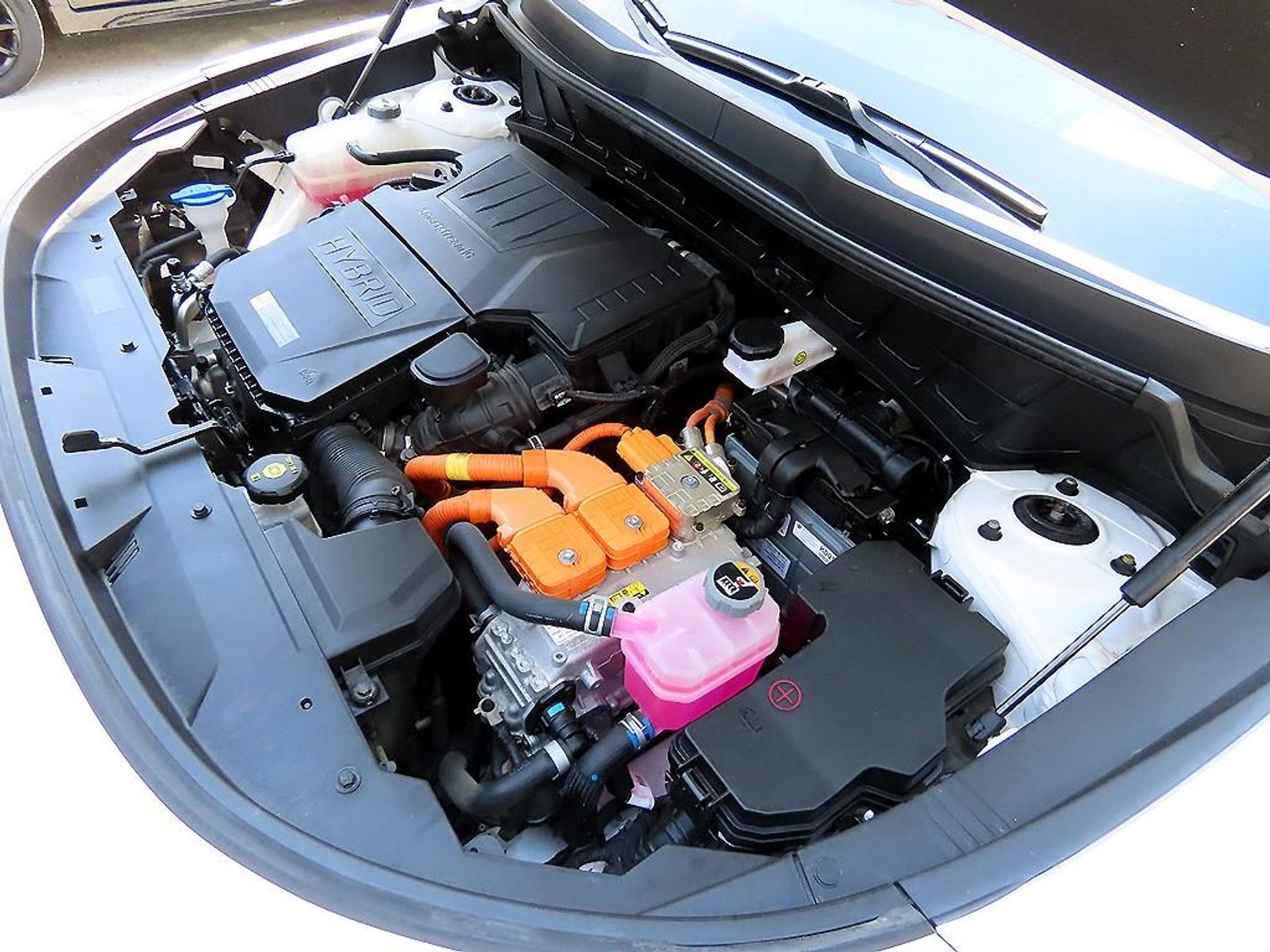 Image 18