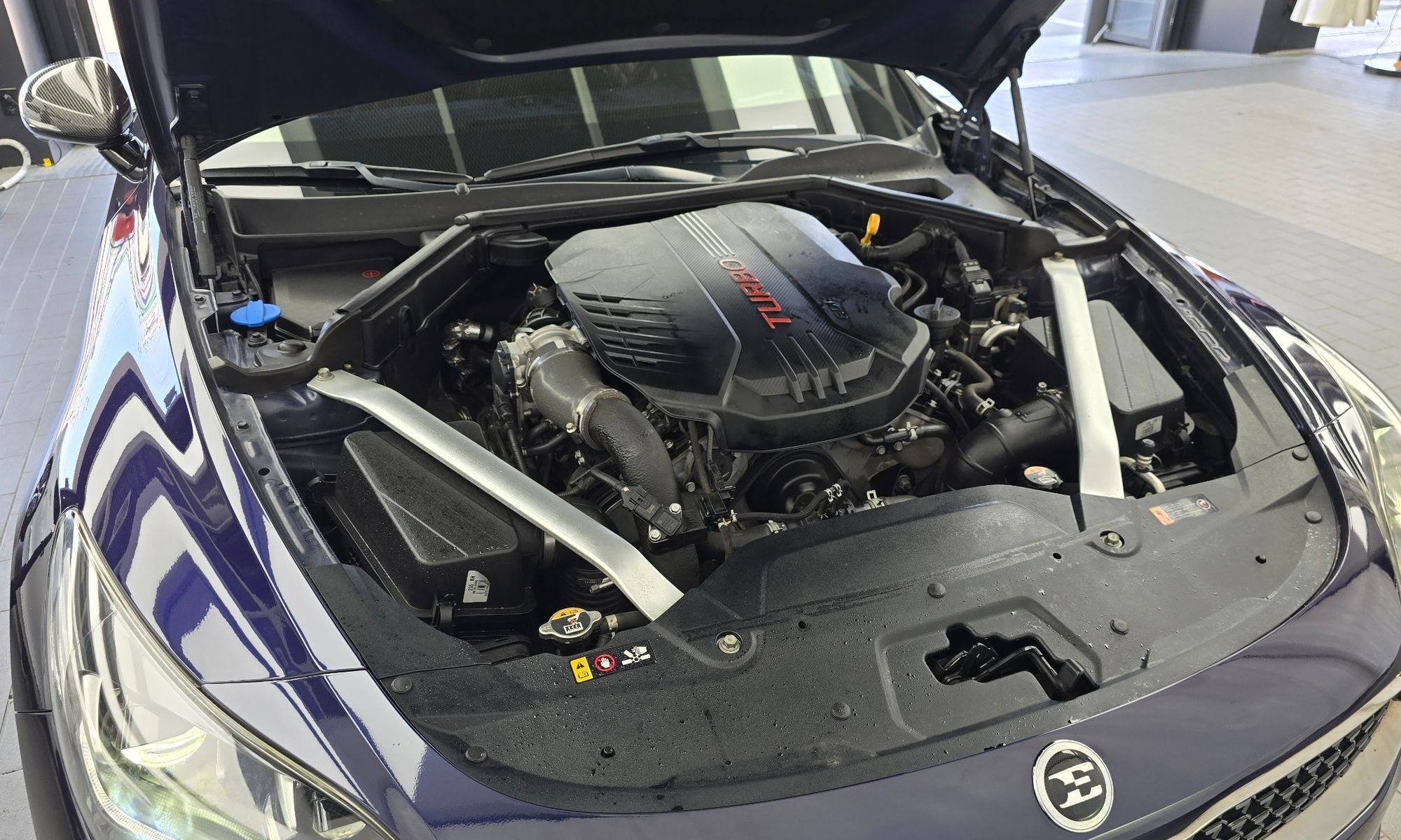 Image 5
