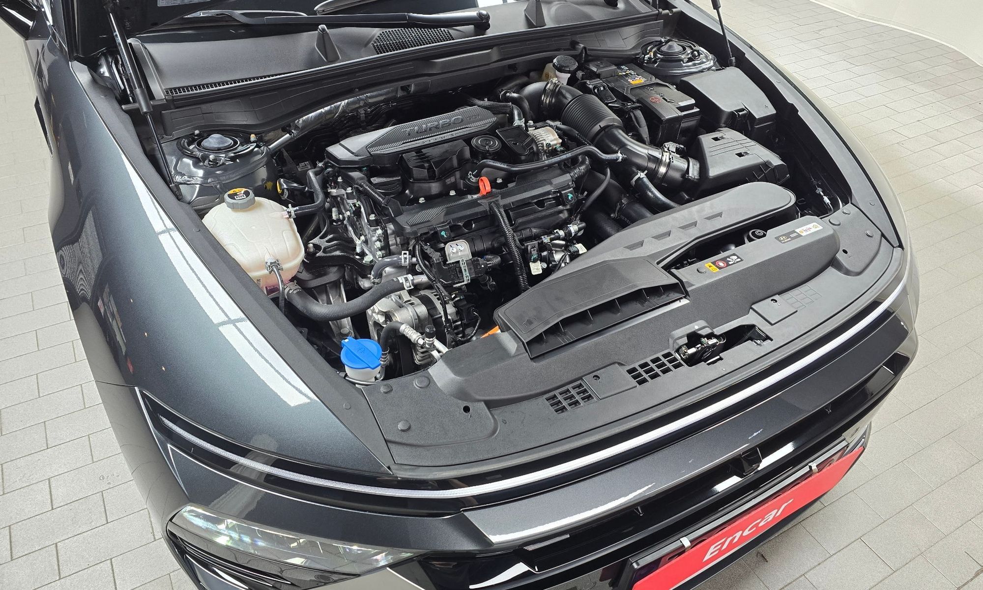 Image 5