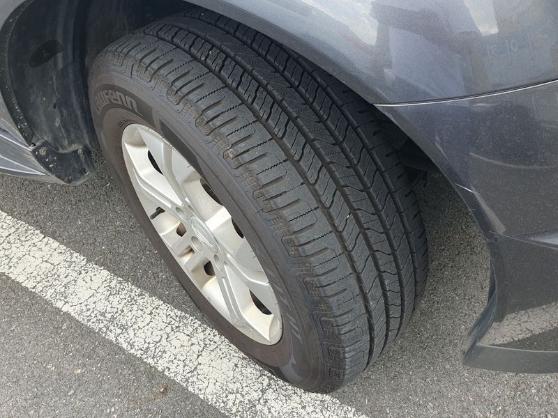 Image 11