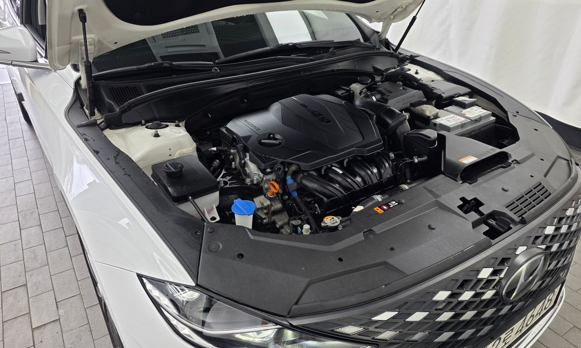 Image 5