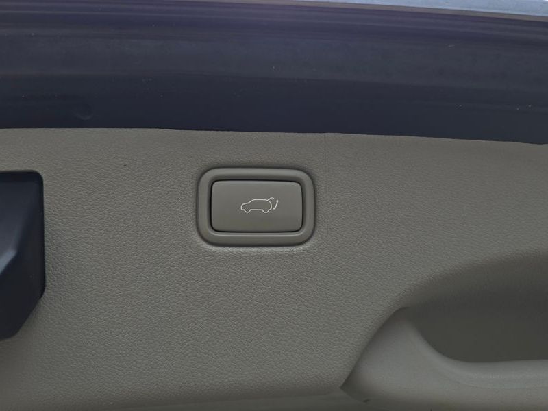 Image 19