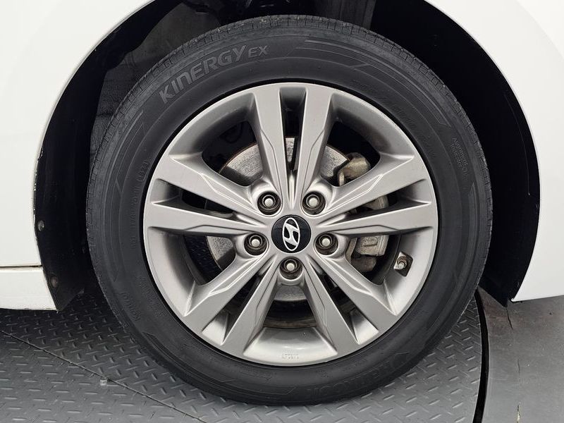 Image 20