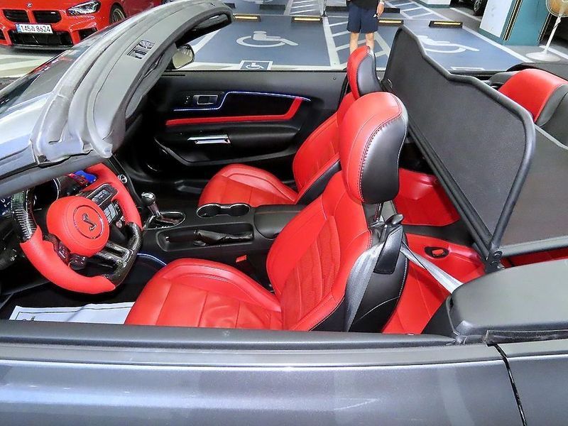 Image 8