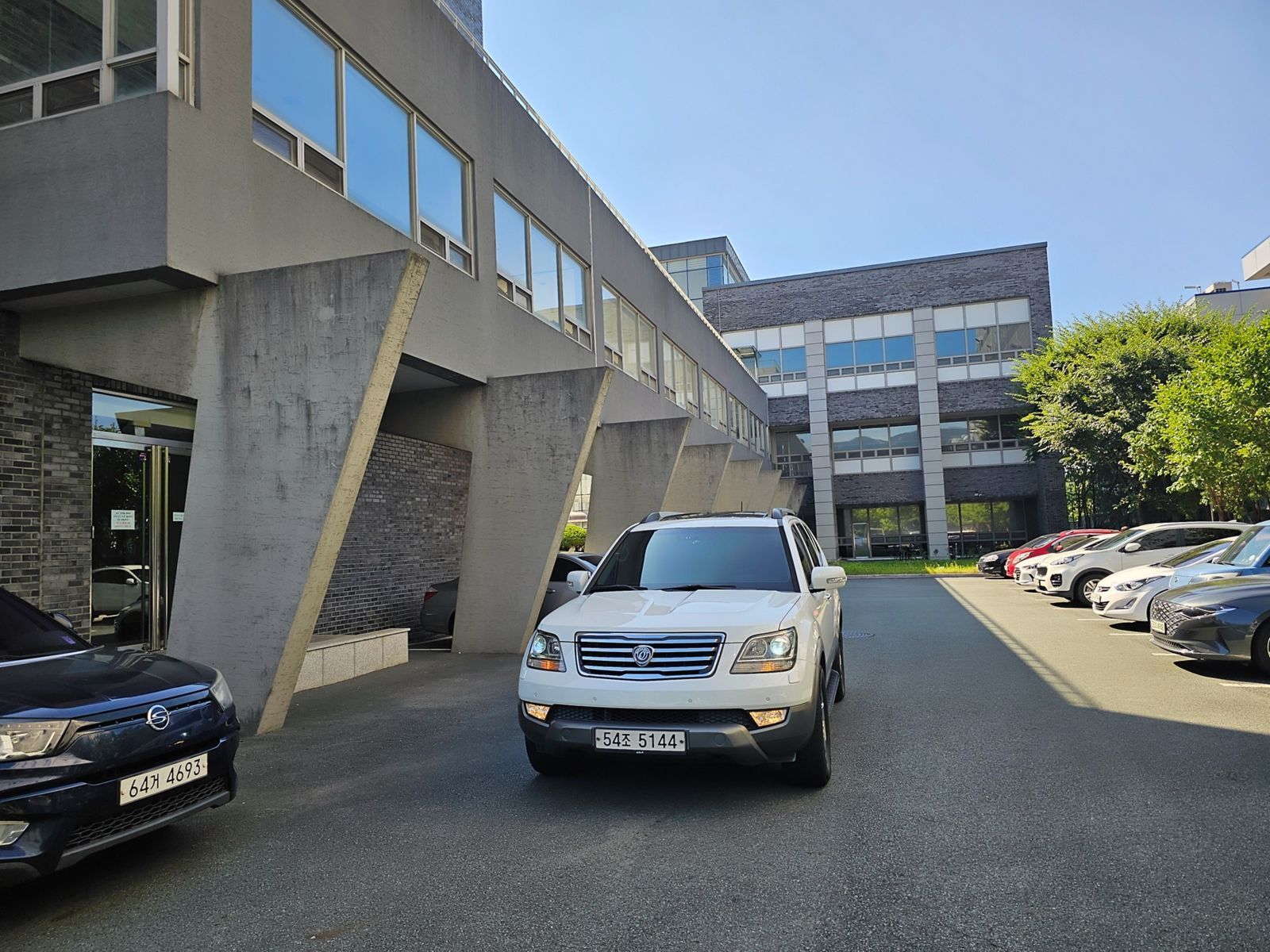 Image 19