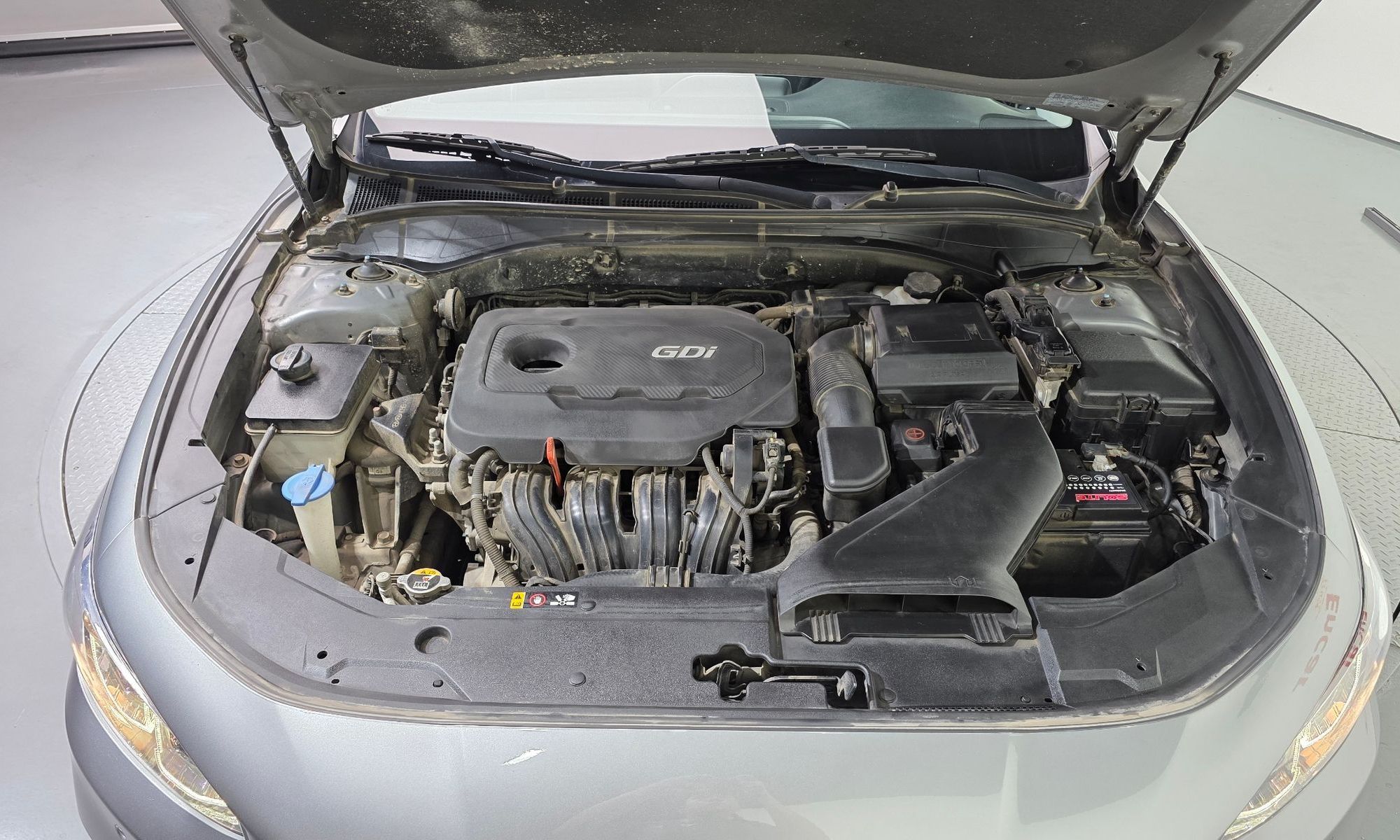 Image 5