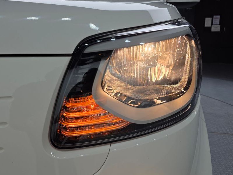 Image 21