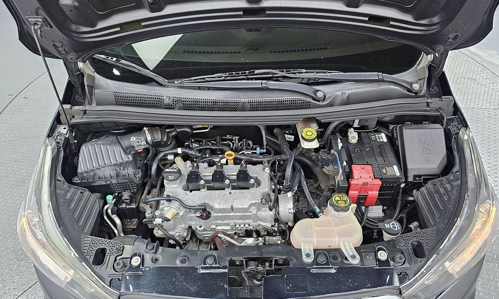 Image 5