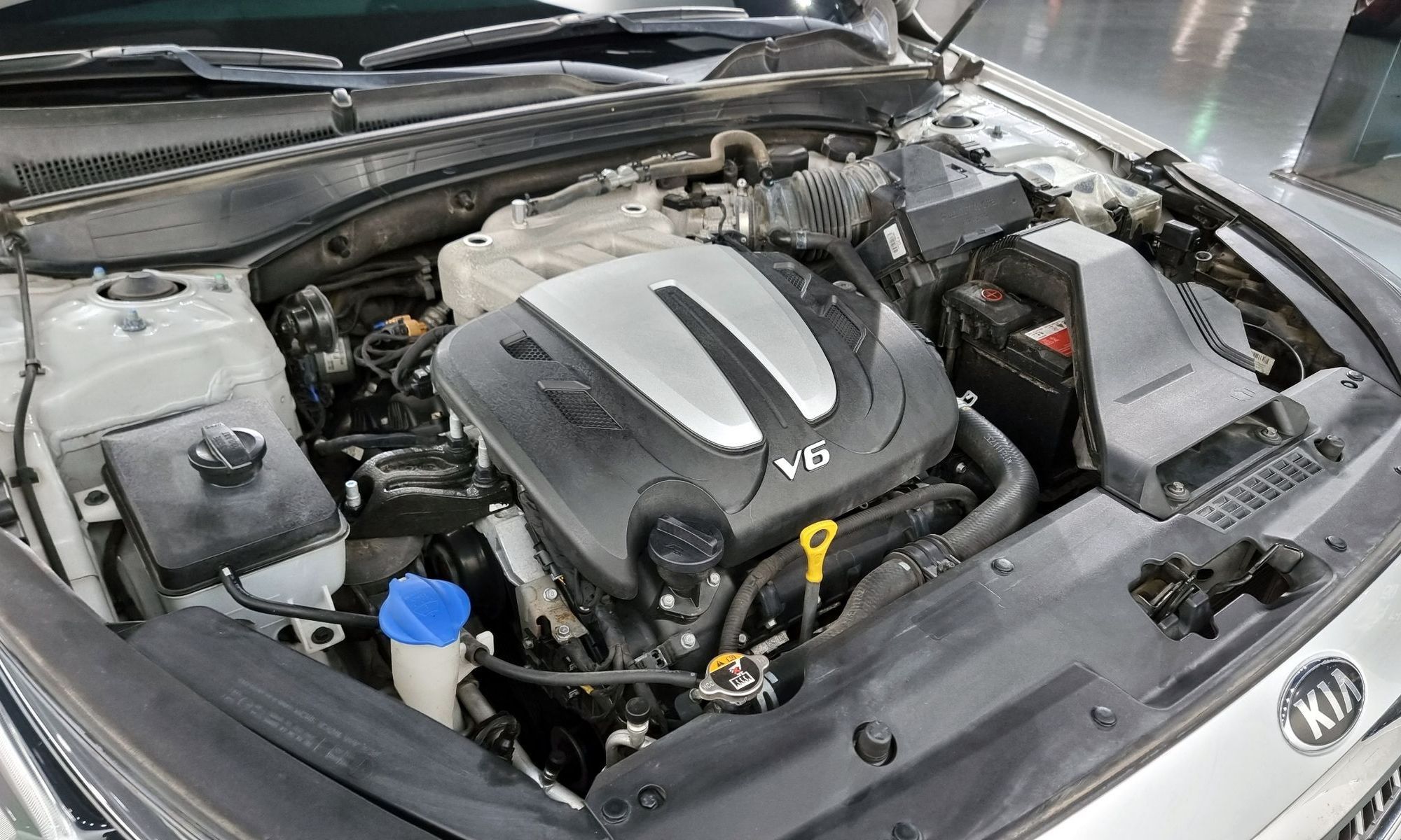 Image 5