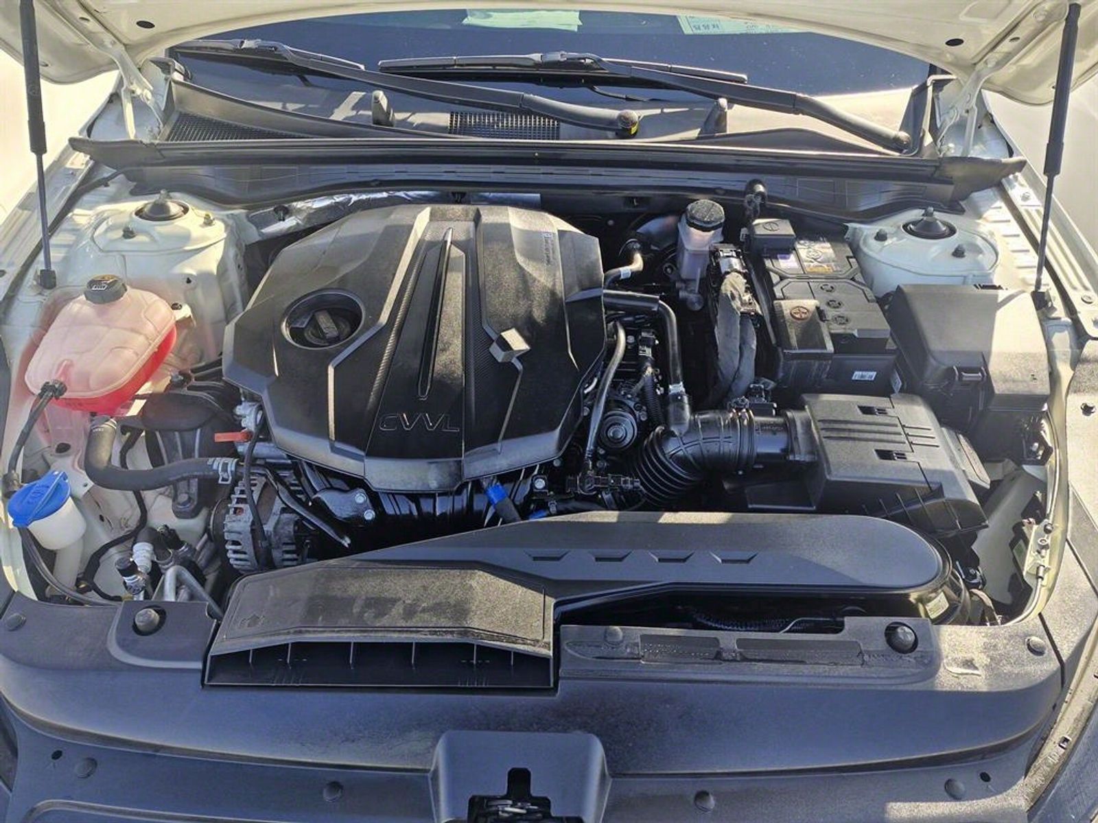 Image 5