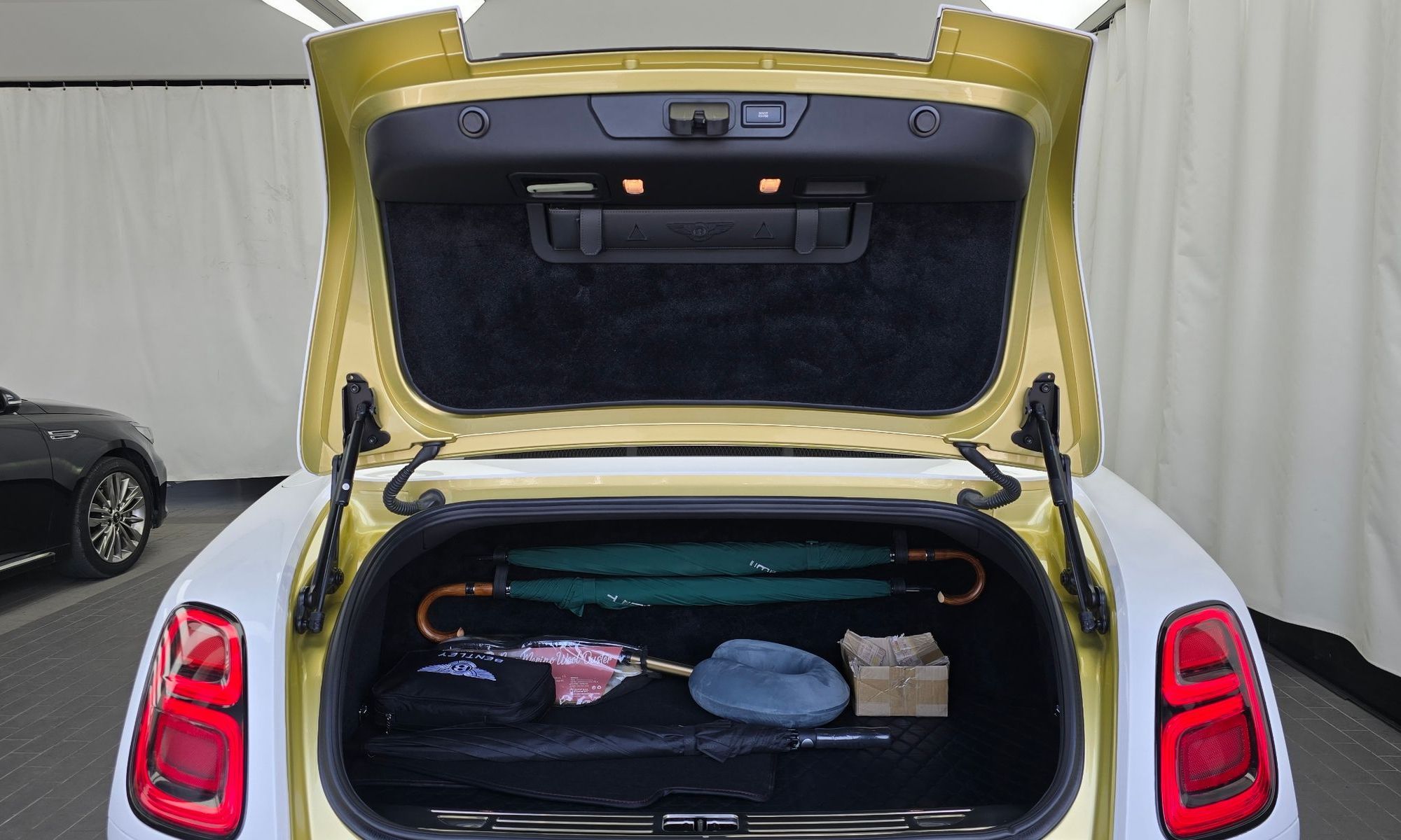 Image 19