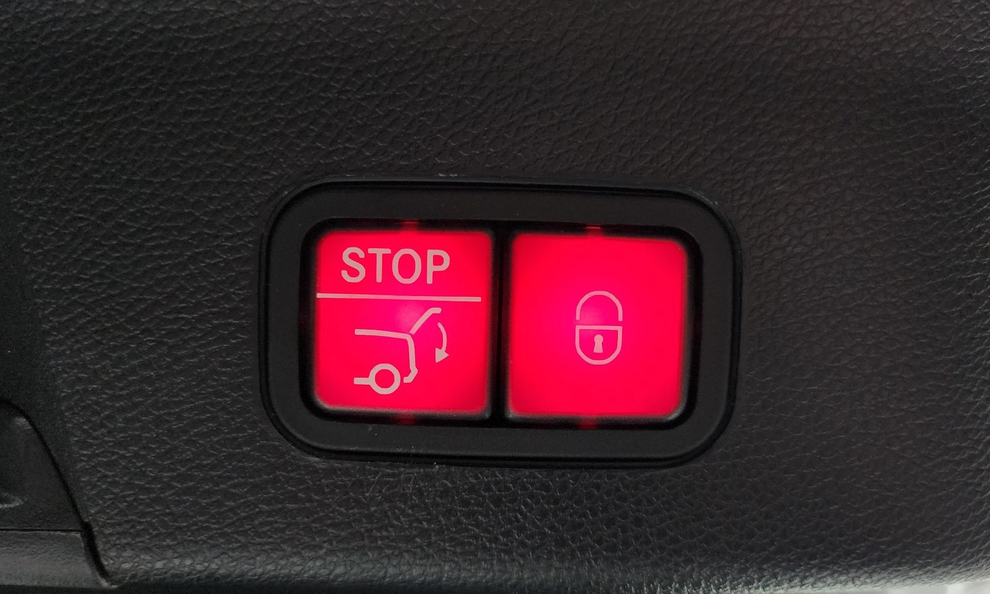 Image 19