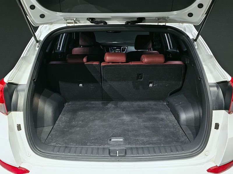 Image 19