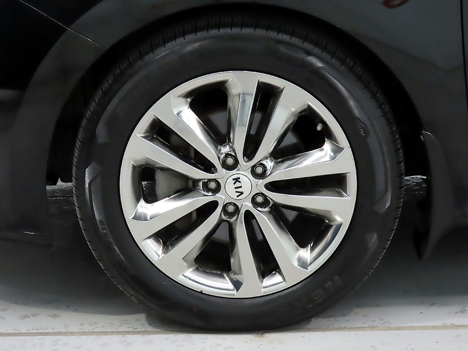 Image 4