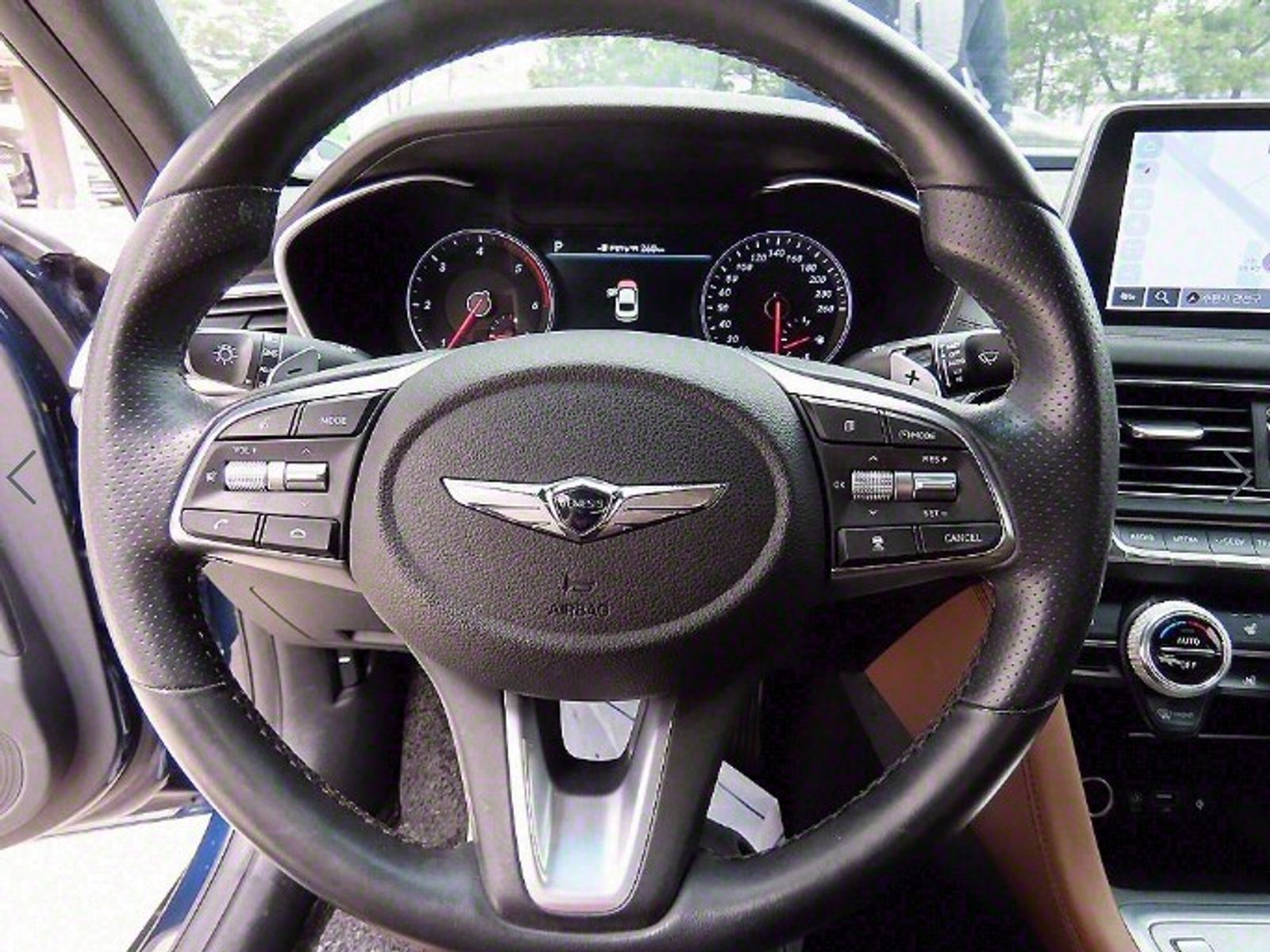 Image 7