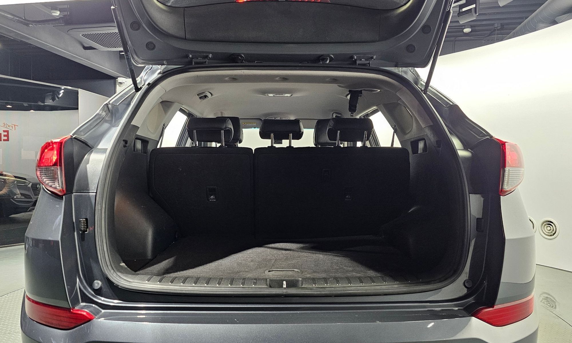 Image 19