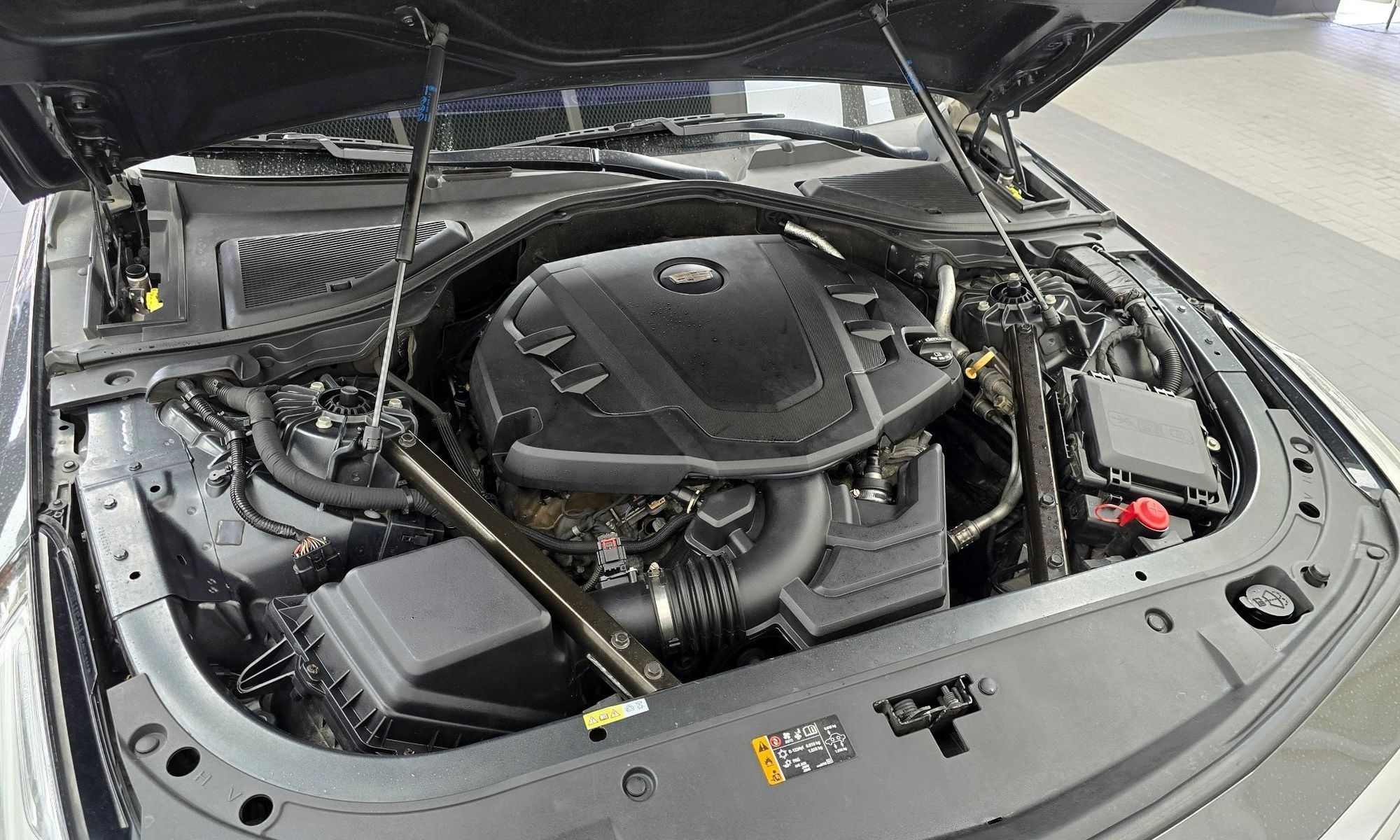 Image 5
