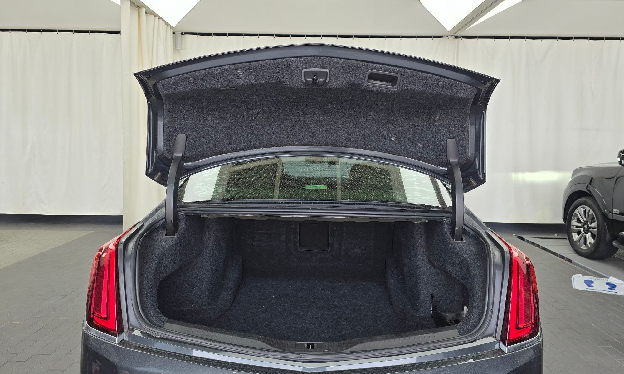 Image 19