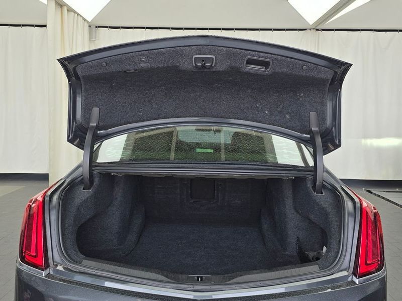 Image 19