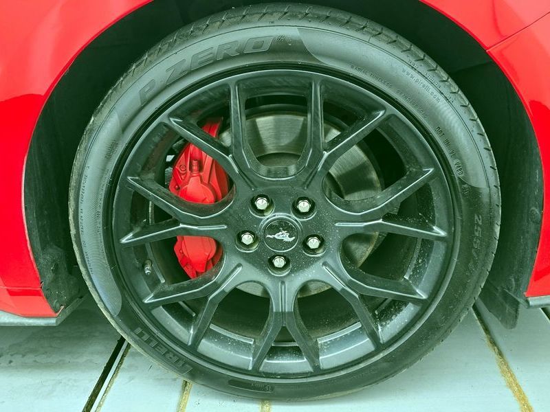 Image 4
