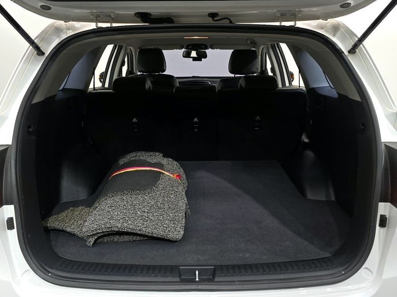Image 19